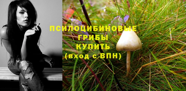 винт Арсеньев