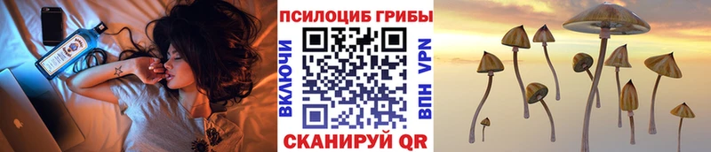 Галлюциногенные грибы ЛСД даркнет сайт Изобильный